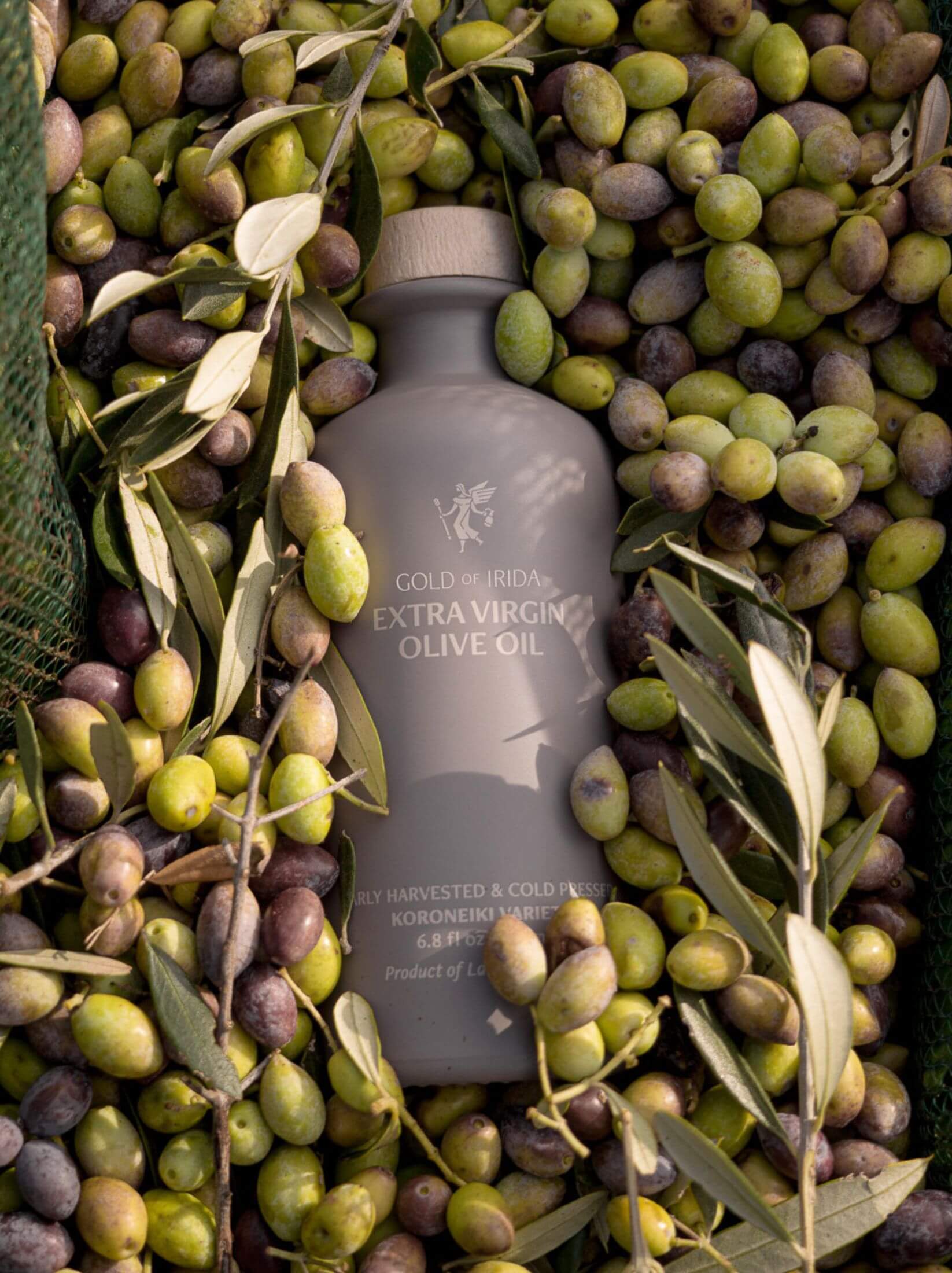 ローリーロドキン ゴシックⅠ ピュアオイル ローリーロドキン ゴシック