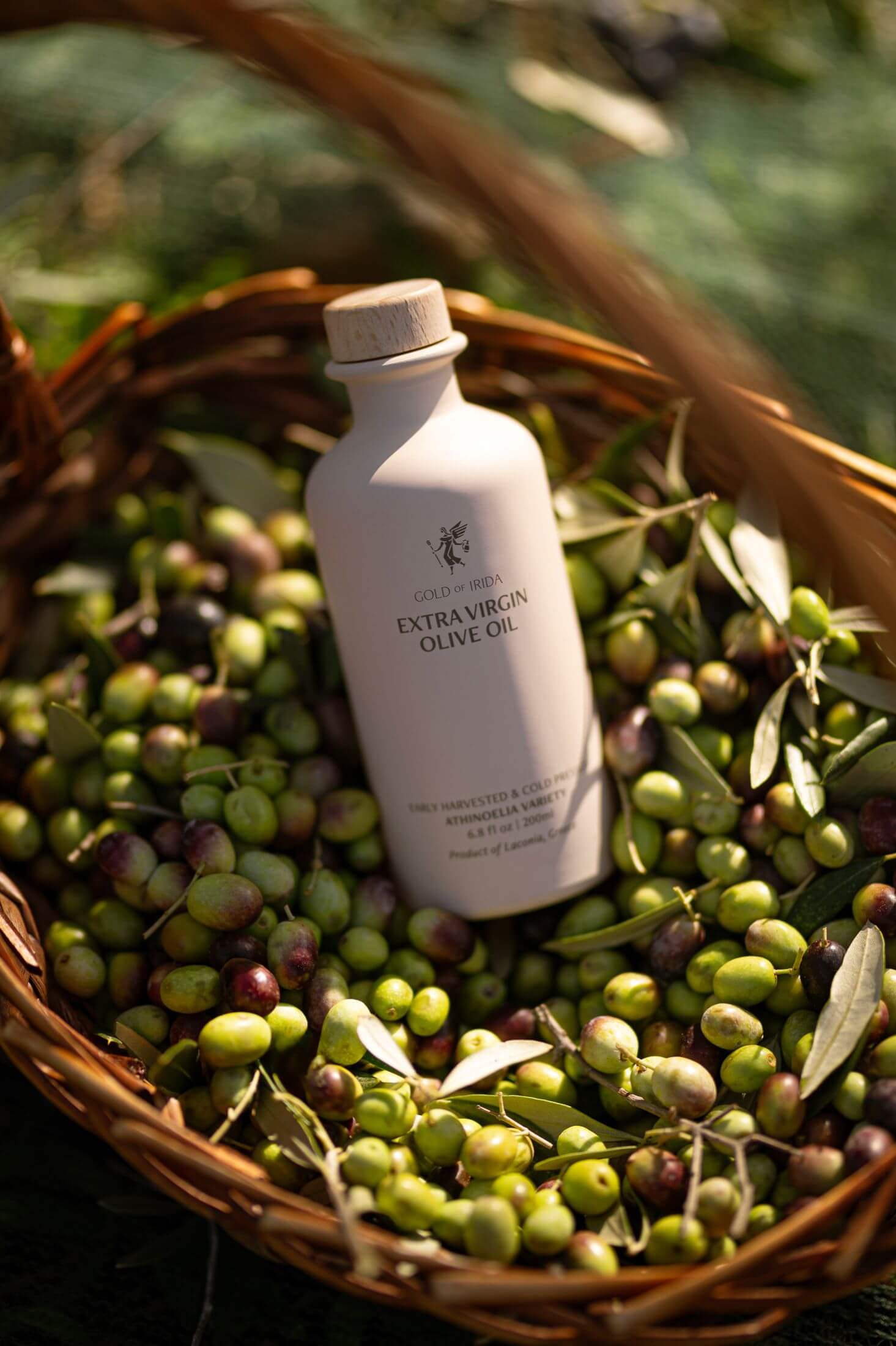 Athinoelia Olive Oil 500 ml case of 6